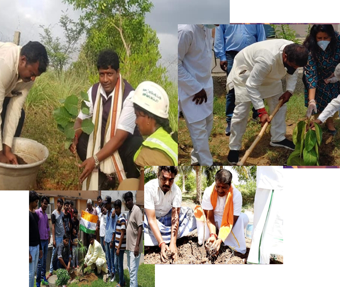 Environment Activities